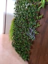 Customer photo of Artificial Ficus Expandable Privacy Fence