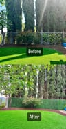 Customer photo of Artificial Ficus Expandable Privacy Fence