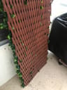 Customer photo of Artificial Ficus Expandable Privacy Fence