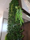 Customer photo of Artificial Ficus Expandable Privacy Fence