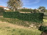 Customer photo of Faux English Laurel Privacy Fence