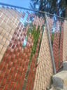 Customer photo of Chain Link Fence Privacy Tape