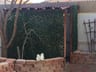 Customer photo of Artificial Ficus Expandable Privacy Fence