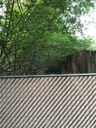Customer photo of Chain Link Fence Privacy Tape