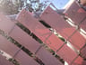 Customer photo of Chain Link Fence Privacy Tape