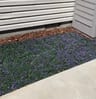 Customer photo of Faux Ivy Mats