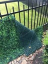 Customer photo of Light Green Artificial Boxwood Roll