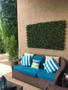 Customer photo of Artificial Ficus Expandable Privacy Fence