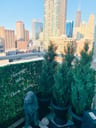 Customer photo of Light Green Artificial Boxwood Roll