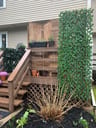 Customer photo of Artificial Ficus Expandable Privacy Fence
