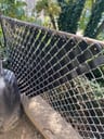 Customer photo of Chain Link Fence Privacy Tape