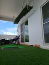 Customer photo of Artificial Ficus Expandable Privacy Fence