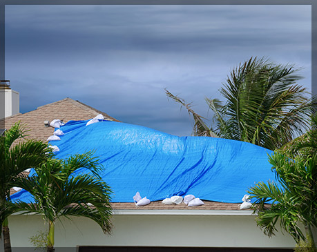 Blue Poly Tarps