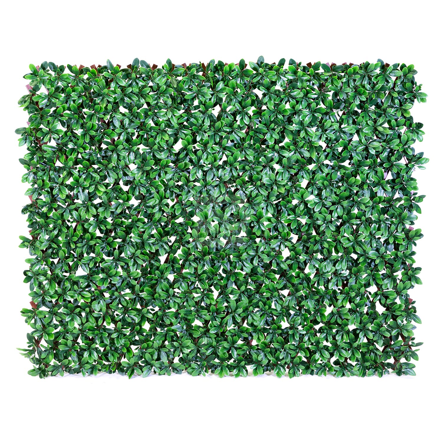 Expandable Artificial English Laurel Privacy Fence from NatraHedge