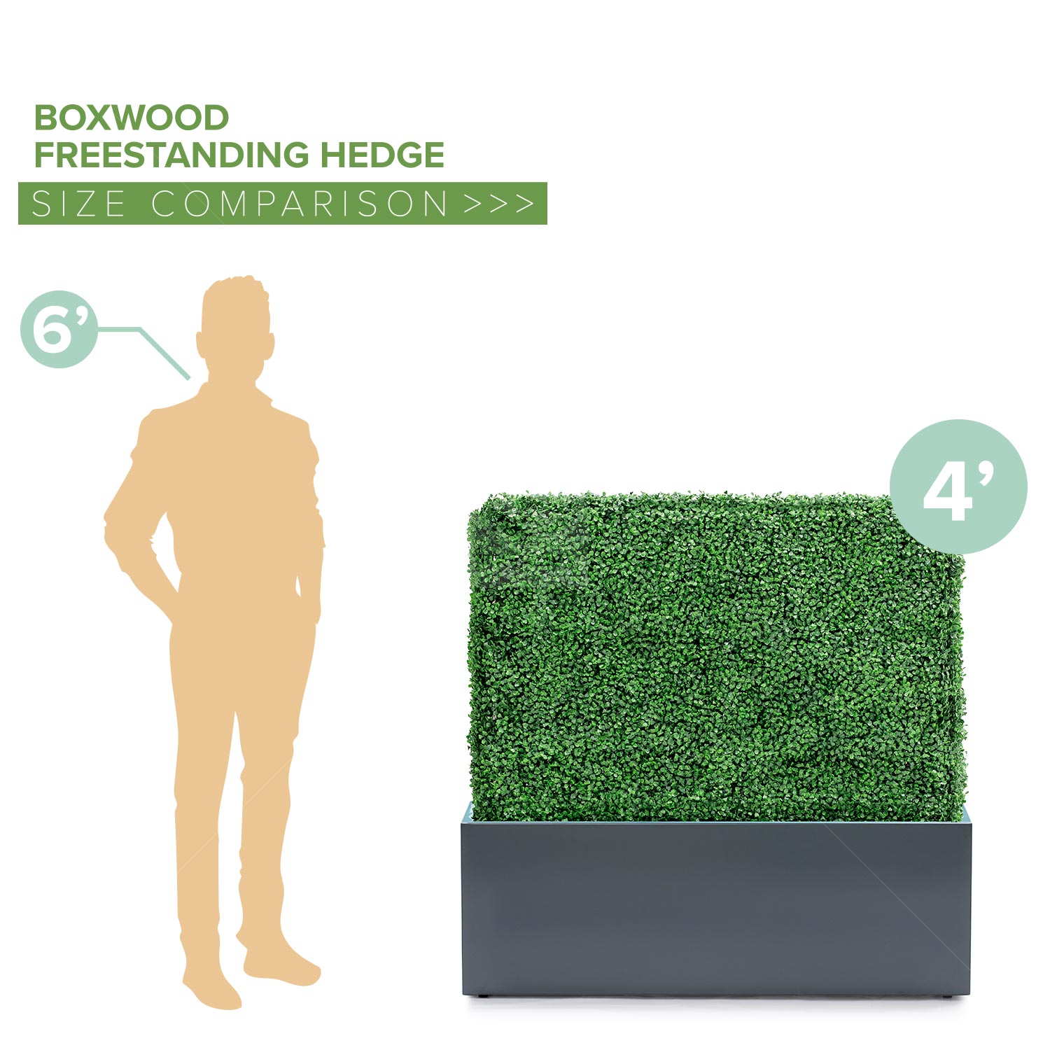 4ft Freestanding Boxwood Hedge With Black Planter Box
